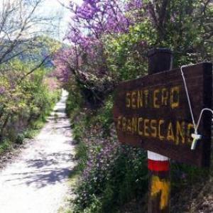 La Sosta B&B Stroncone Esterno foto